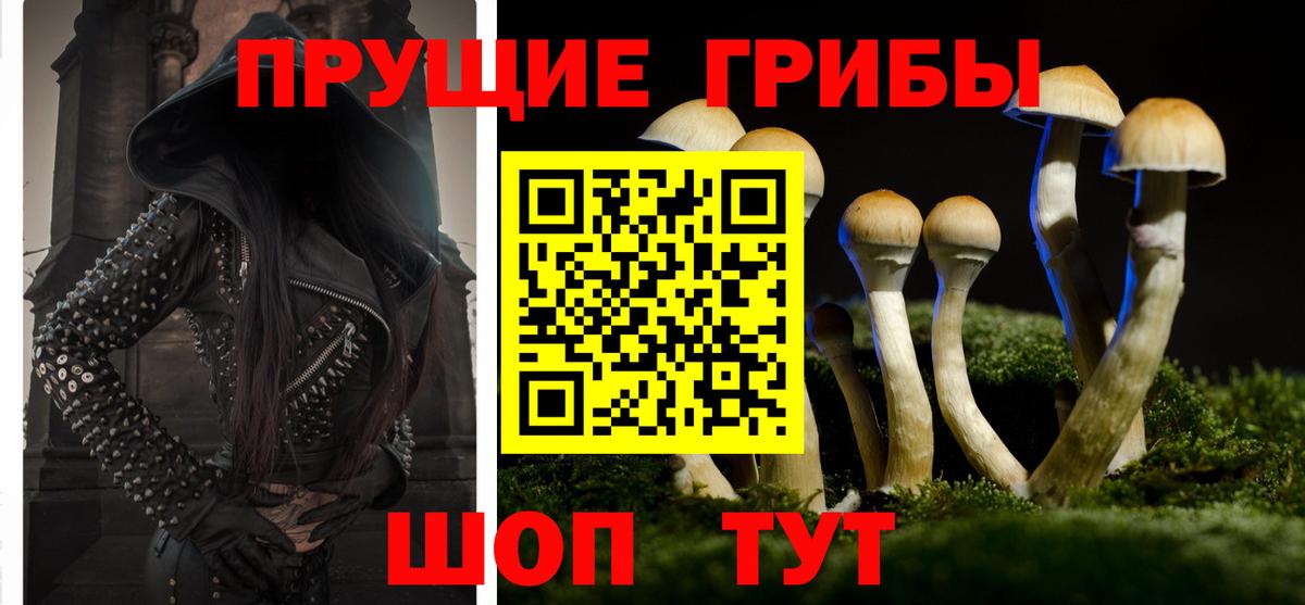 Псилоцибиновые грибы прущие грибы  Вход с VPN  Псилоцибиновые грибы Cubensis  Дубна 